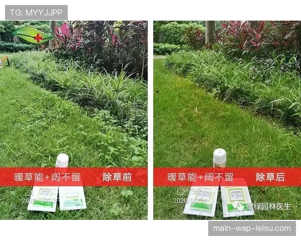 多家意甲俱乐部与高校合作，研究极端天气下草坪养护与比赛条件保障技术